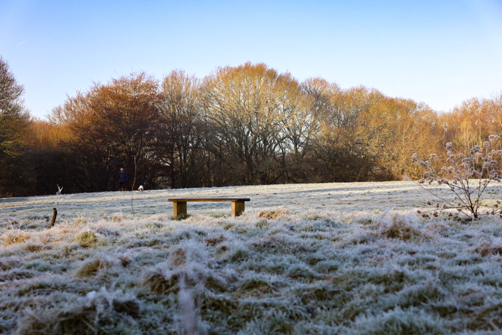 Frosty park bench on a winters day