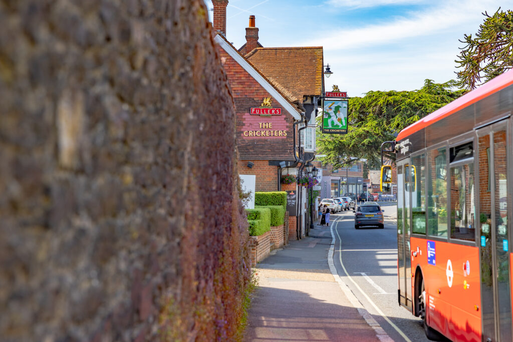 Get to Know Dorking