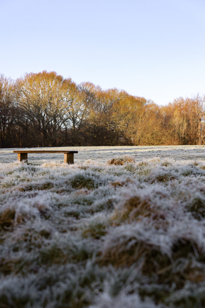 Redhill winter frosty bench